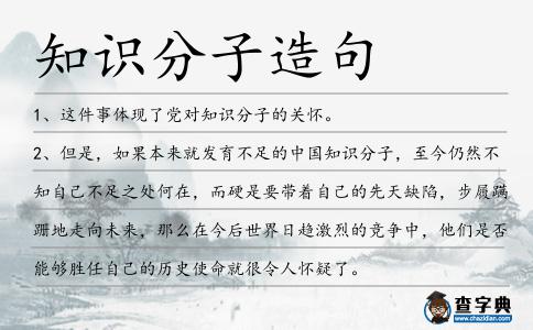 知識分子造句