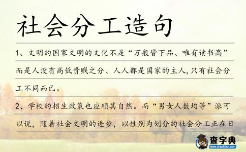 社會(huì)分工造句
