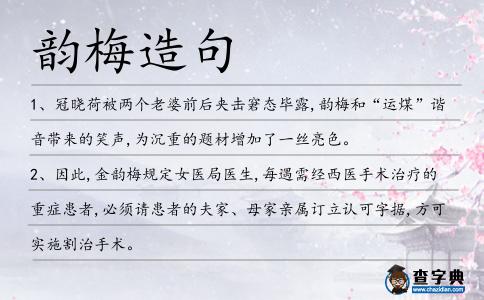 韻梅造句