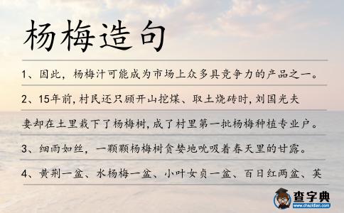 楊梅造句