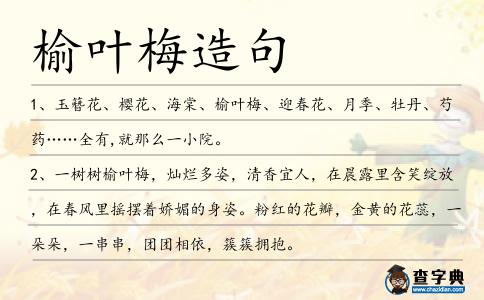 榆葉梅造句