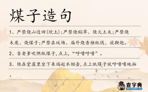 煤子造句