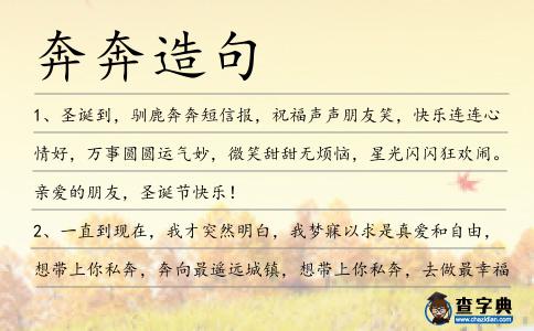 奔奔造句