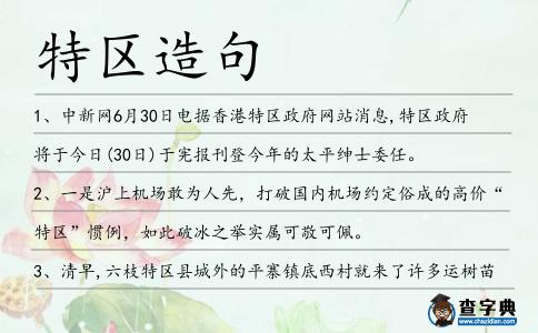 特區造句