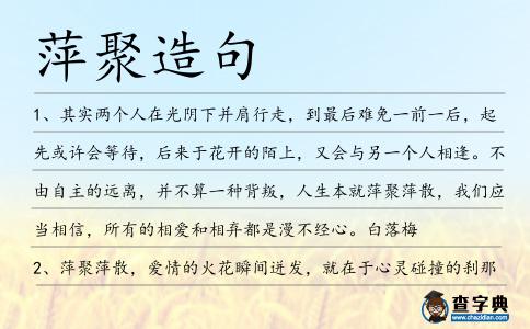 萍聚造句