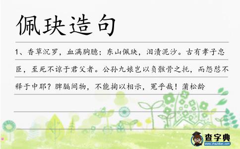 佩玦造句