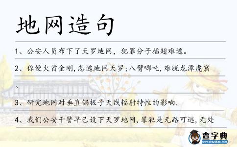 地網(wǎng)造句