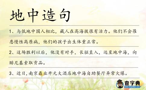 地中造句