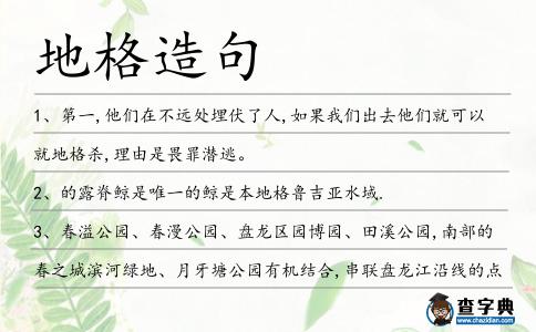 地格造句