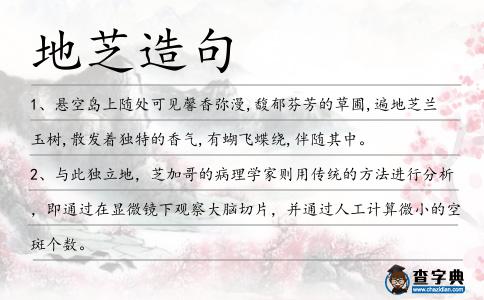 地芝造句