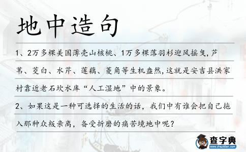 地中造句