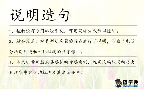 說(shuō)明造句