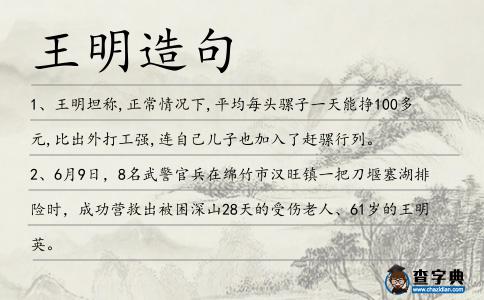 王明造句