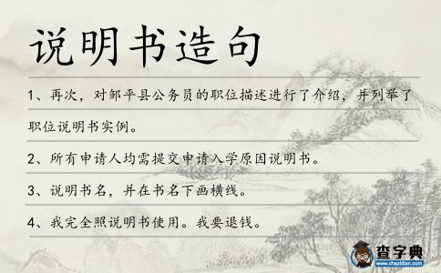 說明書造句
