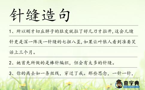 針縫造句