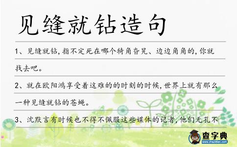 見縫就鉆造句