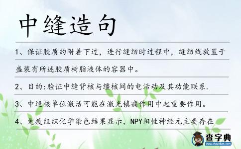 中縫造句