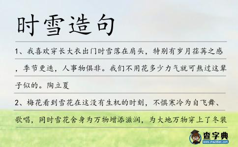 時雪造句