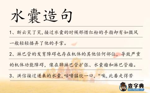 水囊造句