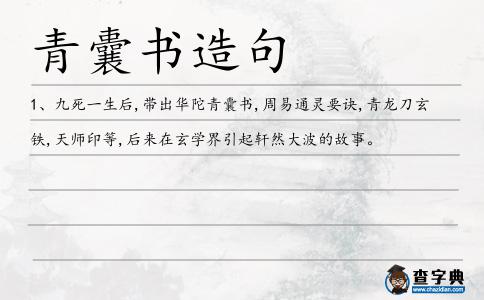 囊書造句