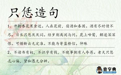只恁造句