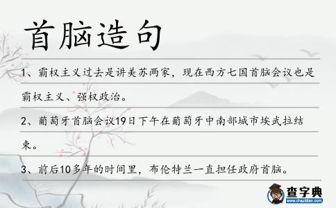 首腦造句
