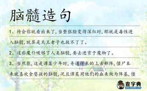 腦髓造句