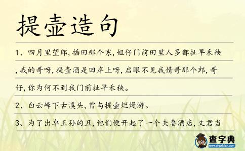 提壺造句
