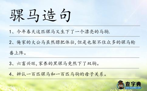 騍馬造句