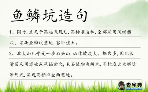 魚鱗坑造句