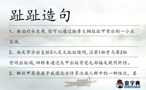 趾趾造句