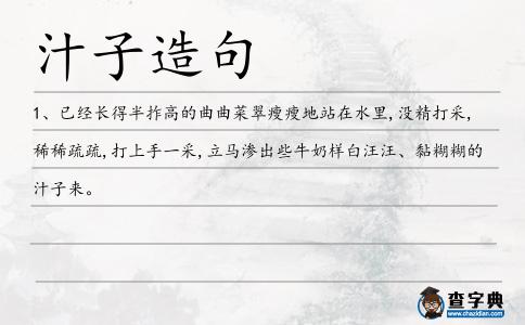 汁子造句