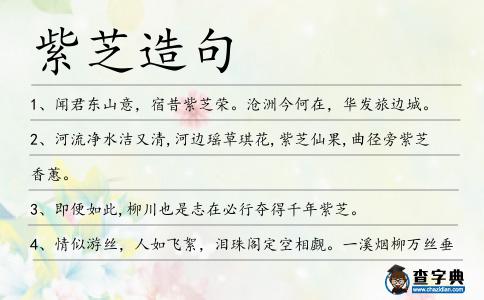 紫芝造句