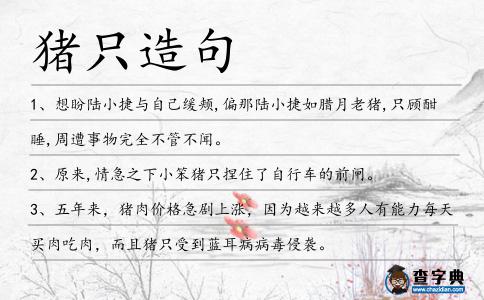 豬只造句