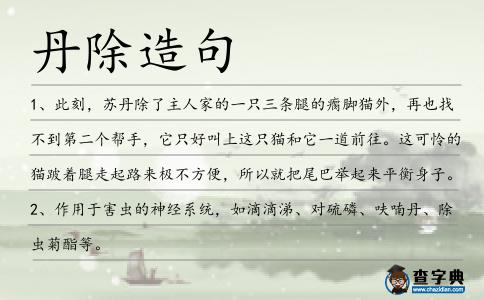丹除造句