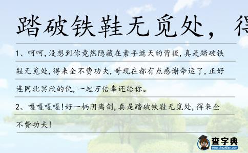 踏破鐵鞋無覓處,得來全不費(fèi)功夫造句