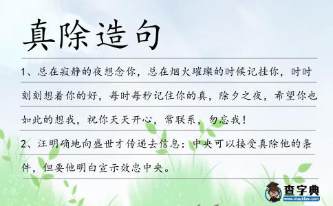 真除造句