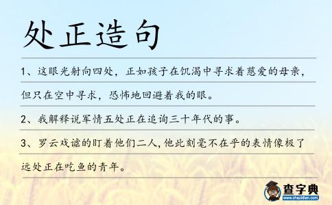 處正造句