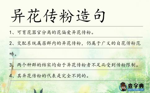 異花傳粉造句
