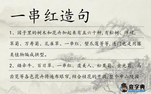 一串紅造句