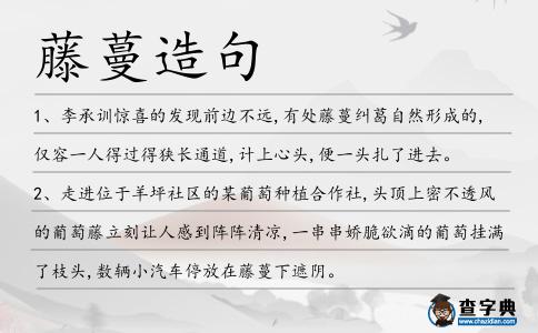 藤蔓造句