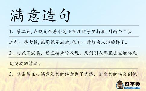 滿意造句