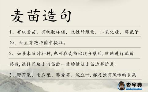 麥苗造句