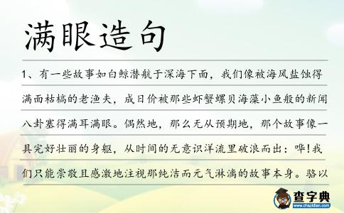 滿眼造句