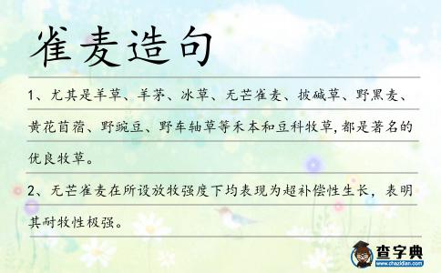 雀麥造句