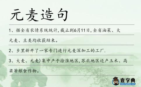 元麥造句