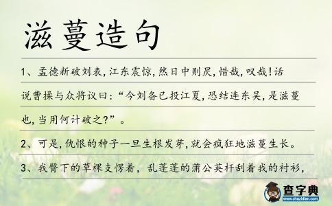 滋蔓造句