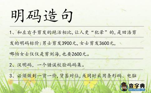 明碼造句