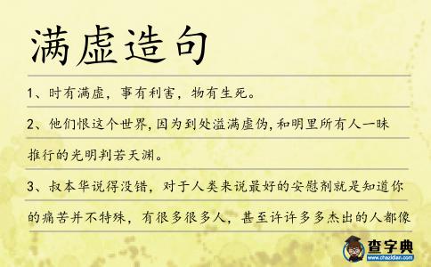 滿虛造句