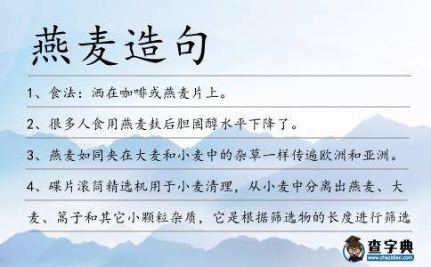 燕麥造句